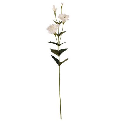 Picture of 84cm LISIANTHUS (EUSTOMA) SPRAY IVORY