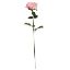 Picture of 68cm ELEGANCE ROSE STEM PINK