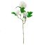 Picture of 46cm SNOWBALL SPRAY WHITE