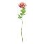 Picture of 68cm CHLOE ELEGANCE ROSE STEM VINTAGE PINK