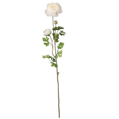 Picture of 70cm RANUNCULUS SPRAY IVORY