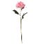 Picture of 77cm LARGE BLOOMING PEONY PINK
