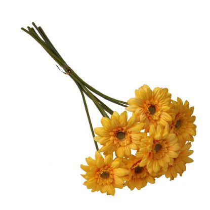 Picture of 47cm MINI GERBERA BUNDLE (7 STEMS) YELLOW