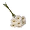 Picture of 47cm MINI GERBERA BUNDLE (7 STEMS) IVORY