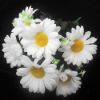 Picture of 30cm DAISY BUSH WHITE