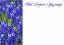 Picture of LARGE GREETING CARDS X 12 WITH DEEPEST SYMPATHY - BLUEBELLS