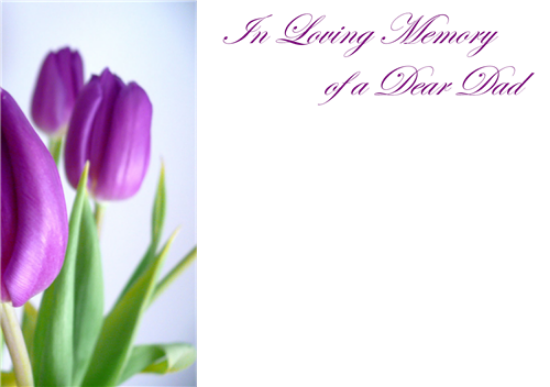 Picture of LARGE GREETING CARDS X 12 IN LOVING MEMORY OF A DEAR DAD - PURPLE TULIPS