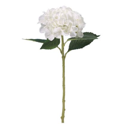 Picture of 51cm CHLOE SINGLE LARGE HYDRANGEA IVORY