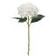 Picture of 51cm CHLOE SINGLE LARGE HYDRANGEA IVORY