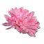 Picture of BALL MUM FLOWER HEAD PINK X 100pcs