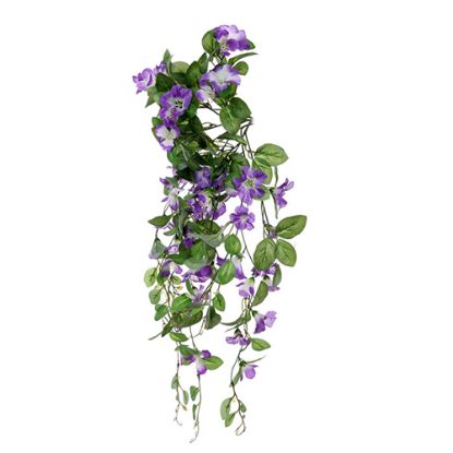 Picture of 69cm TRAILING MORNING GLORY BUSH PURPLE