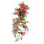 Picture of 69cm TRAILING MORNING GLORY BUSH FUCHSIA
