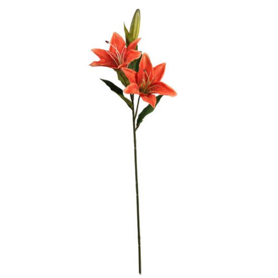 Picture of 66cm LILY SPRAY ORANGE X 12pcs