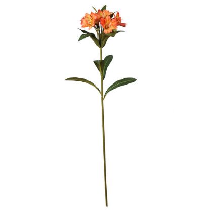 Picture of 82cm ALSTROEMERIA SPRAY ORANGE