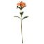 Picture of 82cm ALSTROEMERIA SPRAY ORANGE