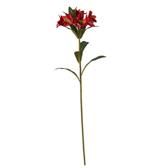 Picture of 82cm ALSTROEMERIA SPRAY RED