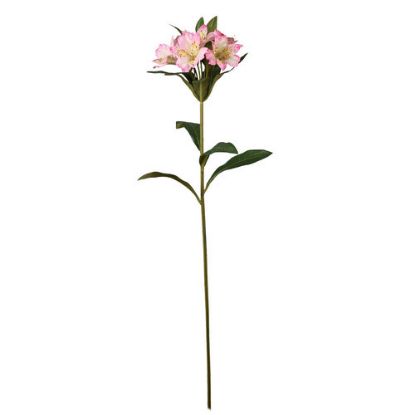 Picture of 82cm ALSTROEMERIA SPRAY LIGHT PINK