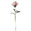 Picture of 82cm ALSTROEMERIA SPRAY LIGHT PINK