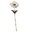Picture of 37cm SINGLE ANEMONE IVORY