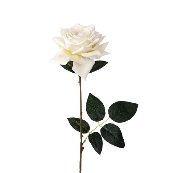 Picture of 53cm SINGLE DIAMOND ROSE IVORY