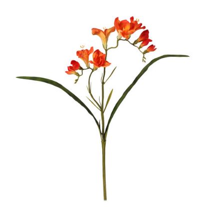 Picture of 56cm FREESIA SPRAY ORANGE