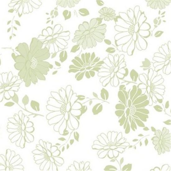 Picture of CELLOPHANE ROLL 80cm X 100met KATIE PISTACHIO