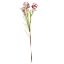 Picture of 79cm WAXFLOWER SPRAY PINK