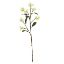 Picture of 63cm CHLOE JAPANESE BERRY SPRAY IVORY
