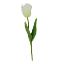 Picture of 41cm SINGLE FRENCH TULIP IVORY