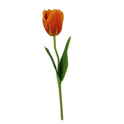 Picture of 41cm SINGLE FRENCH TULIP ORANGE