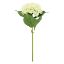 Picture of 61cm SINGLE GIANT HYDRANGEA IVORY