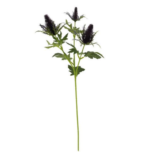 Picture of 67cm ERYNGIUM (SEA HOLLY) SPRAY PURPLE