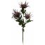 Picture of 67cm WILD ERYNGIUM (SEA HOLLY) SPRAY LILAC