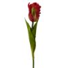 Picture of 56cm SINGLE PARROT TULIP RED