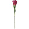 Picture of 56cm SINGLE PARROT TULIP RED