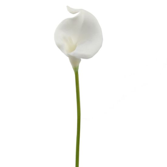 Picture of 38cm REAL TOUCH SINGLE CALLA LILY WHITE