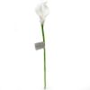 Picture of 38cm REAL TOUCH SINGLE CALLA LILY WHITE