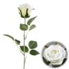 Picture of 72cm LUXURY LARGE SINGLE VELVET TOUCH ROSE IVORY