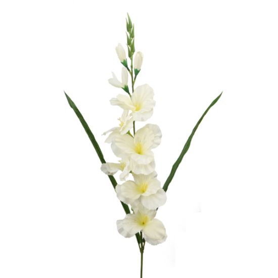 Picture of 78cm GLADIOLUS SPRAY IVORY