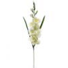 Picture of 78cm GLADIOLUS SPRAY IVORY