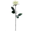 Picture of 48cm SINGLE OPEN ROSE IVORY