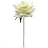 Picture of 25cm SINGLE DIAMOND ROSE IVORY X 48pcs