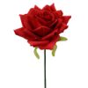 Picture of 25cm SINGLE DIAMOND ROSE RED X 48pcs