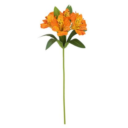 Picture of 47cm ALSTROEMERIA SPRAY ORANGE