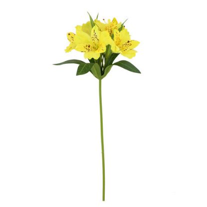 Picture of 47cm ALSTROEMERIA SPRAY YELLOW