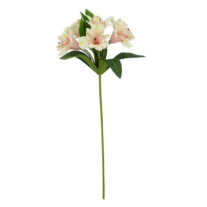 Picture of 47cm ALSTROEMERIA SPRAY IVORY/PINK