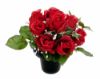 Picture of CEMETERY POT WITH ROSEBUD AND IVY ASSORTED X 12pcs