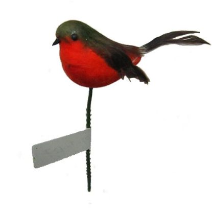 Picture of ROBIN PICK ORANGE/RED/BROWN