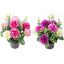 Picture of CEMETERY POT WITH CHRYSANTHEMUM AND EUCALYPTUS ASSORTED X 12pcs