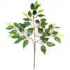 Picture of 60cm FICUS BRANCH (42 LEAVES) GREEN X 12pcs